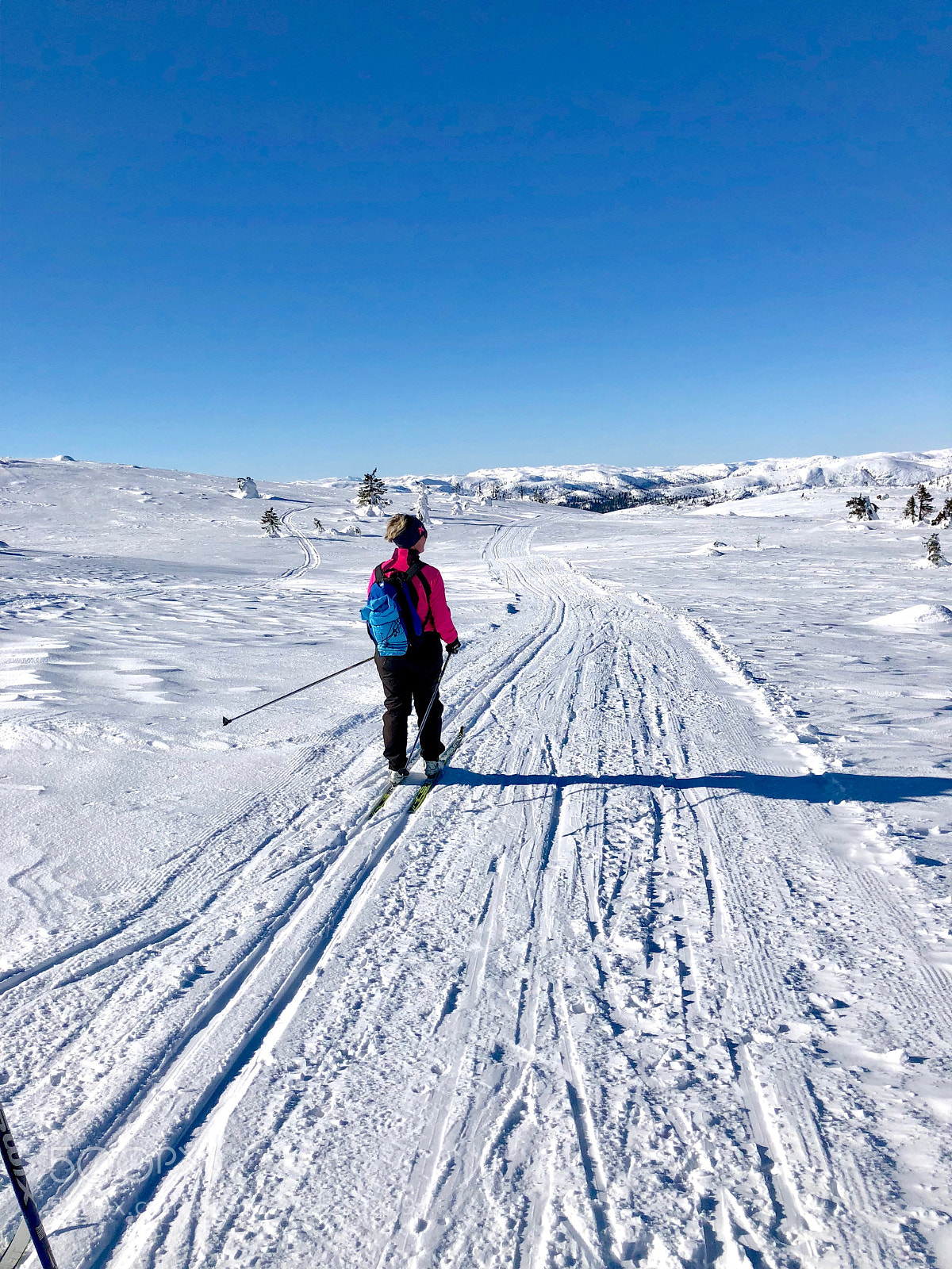 Apple iPhone X sample photo. Female skier photography