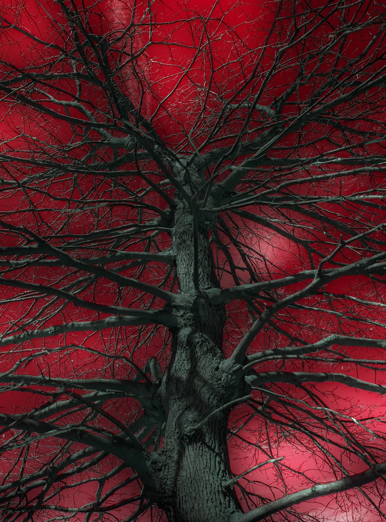 Tree abstraction by Mevludin Sejmenovic