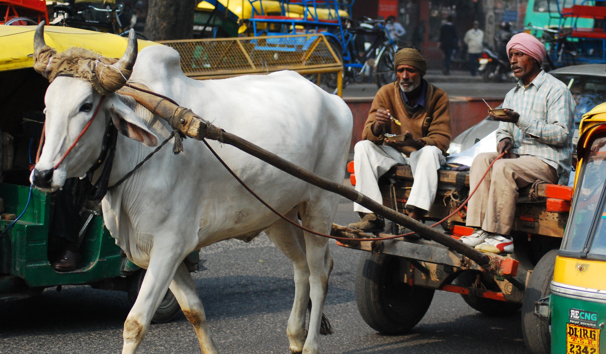 Nikon AF Nikkor 70-300mm F4-5.6G sample photo. India transportation photography