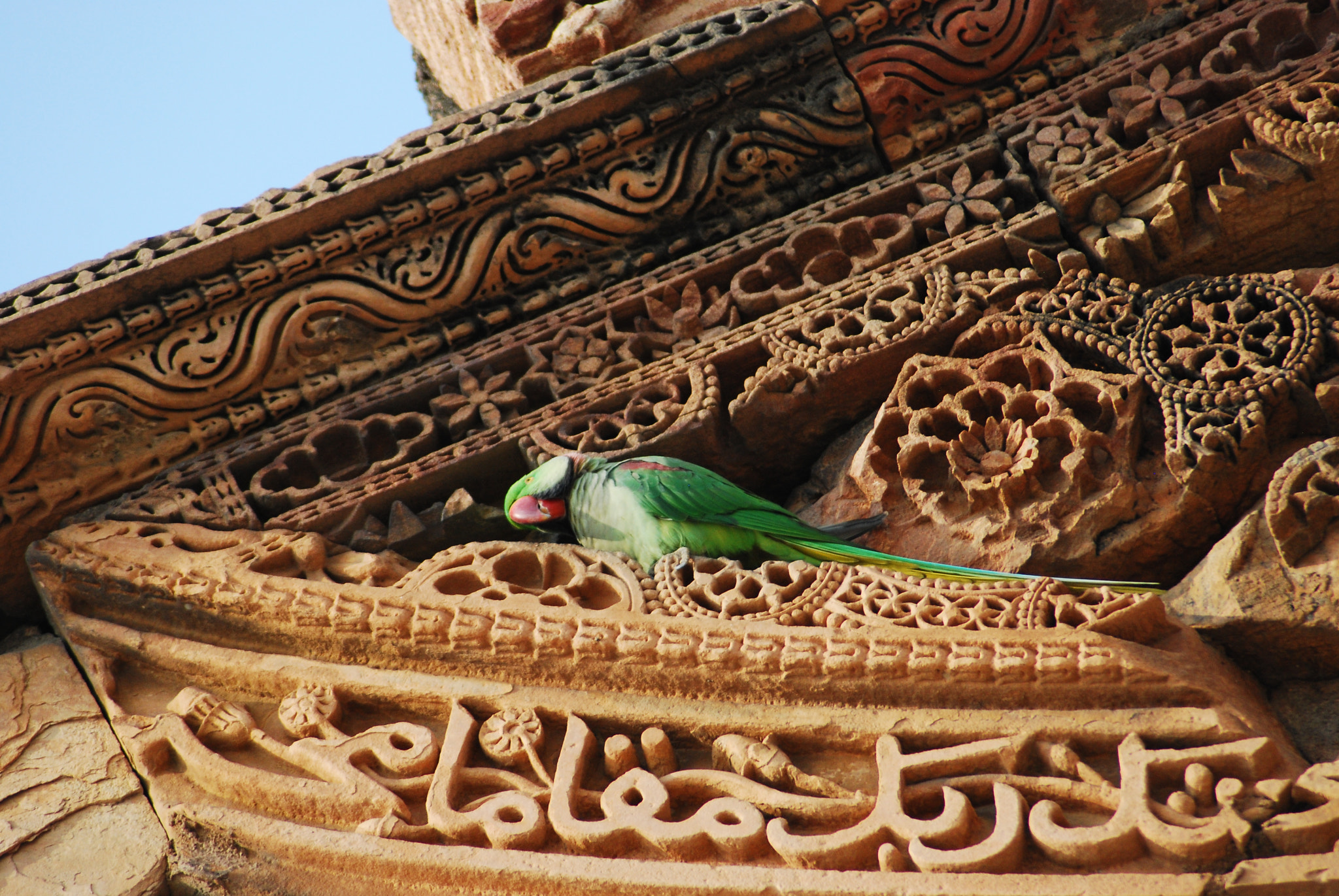 Nikon AF Nikkor 70-300mm F4-5.6G sample photo. India photography