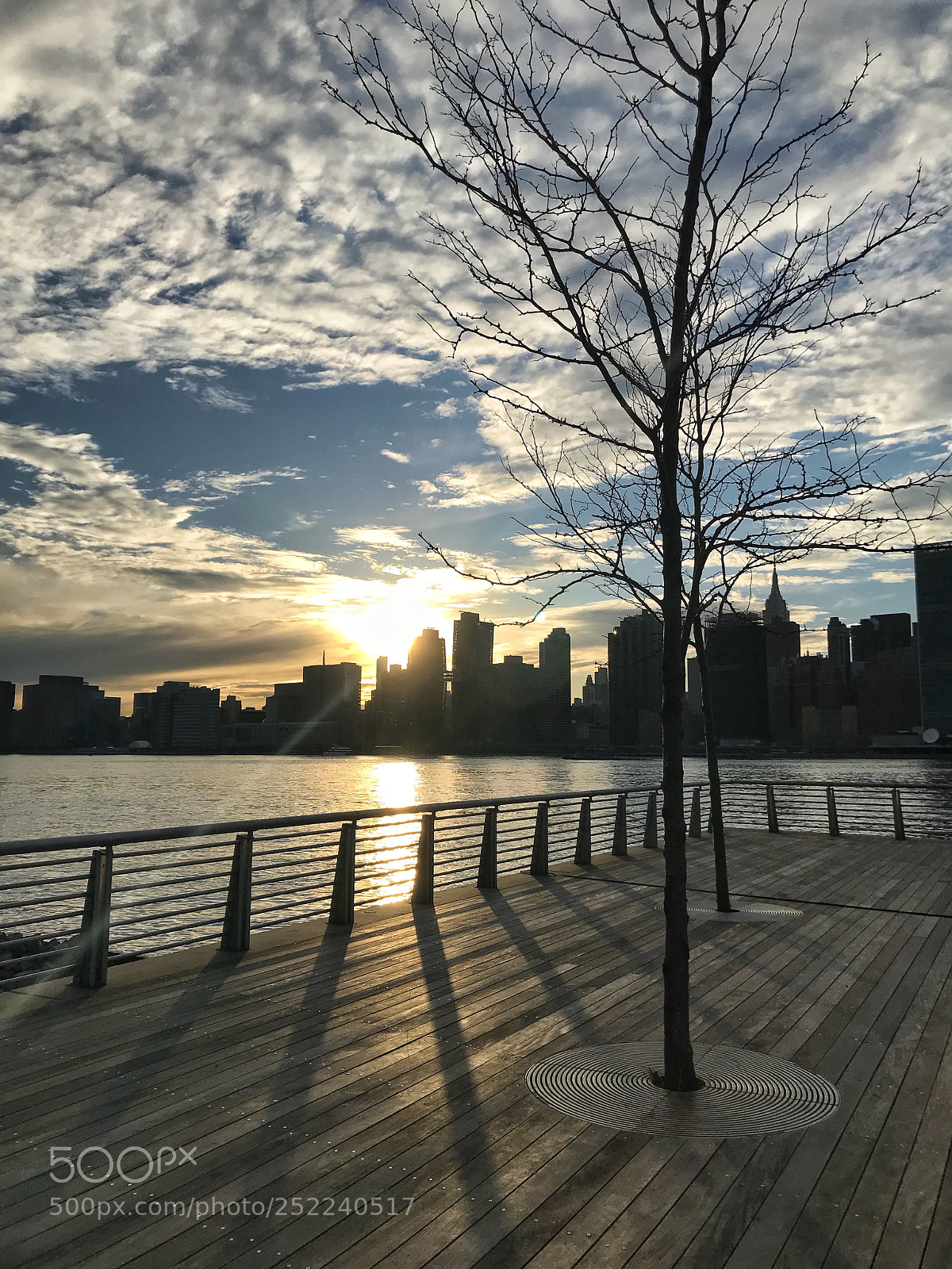 Apple iPhone 7 sample photo. The easy life photography