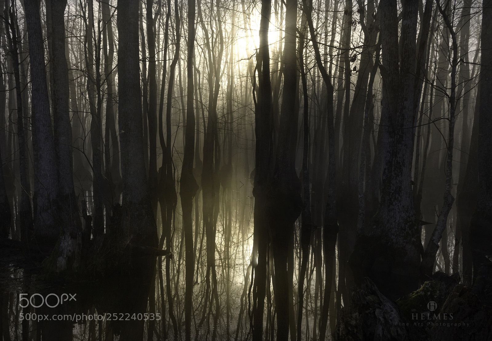 Canon EOS 60D sample photo. Sunrise in the swamp photography