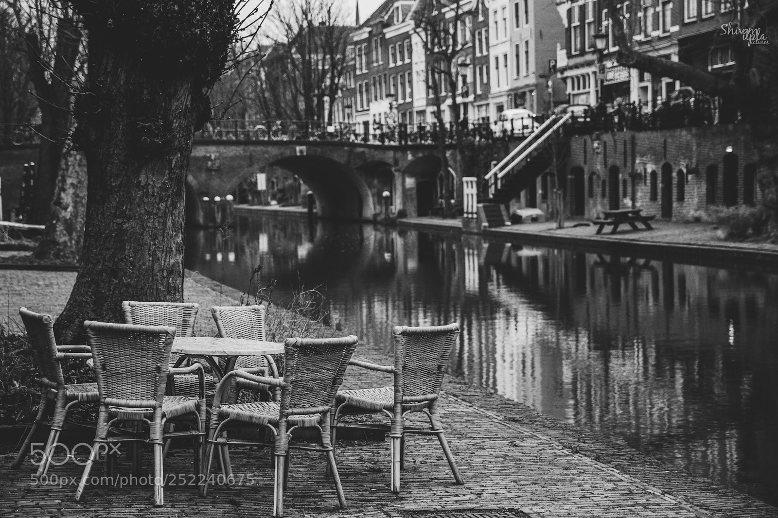 Canon EOS 80D sample photo. The meeting point! photography