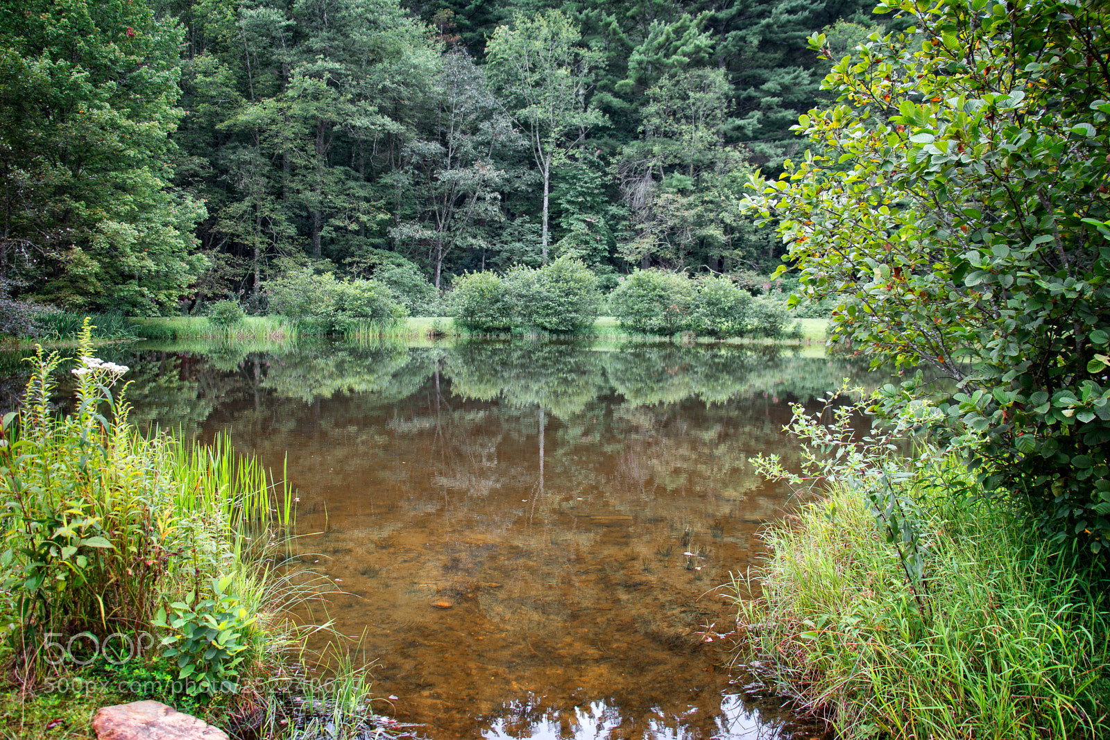 Canon EOS 650D (EOS Rebel T4i / EOS Kiss X6i) sample photo. Travelling the parkway photography
