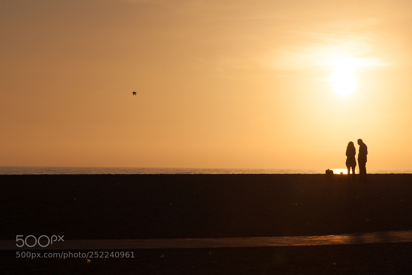 Canon EOS 5D Mark II sample photo. Silhouettes in the sun photography