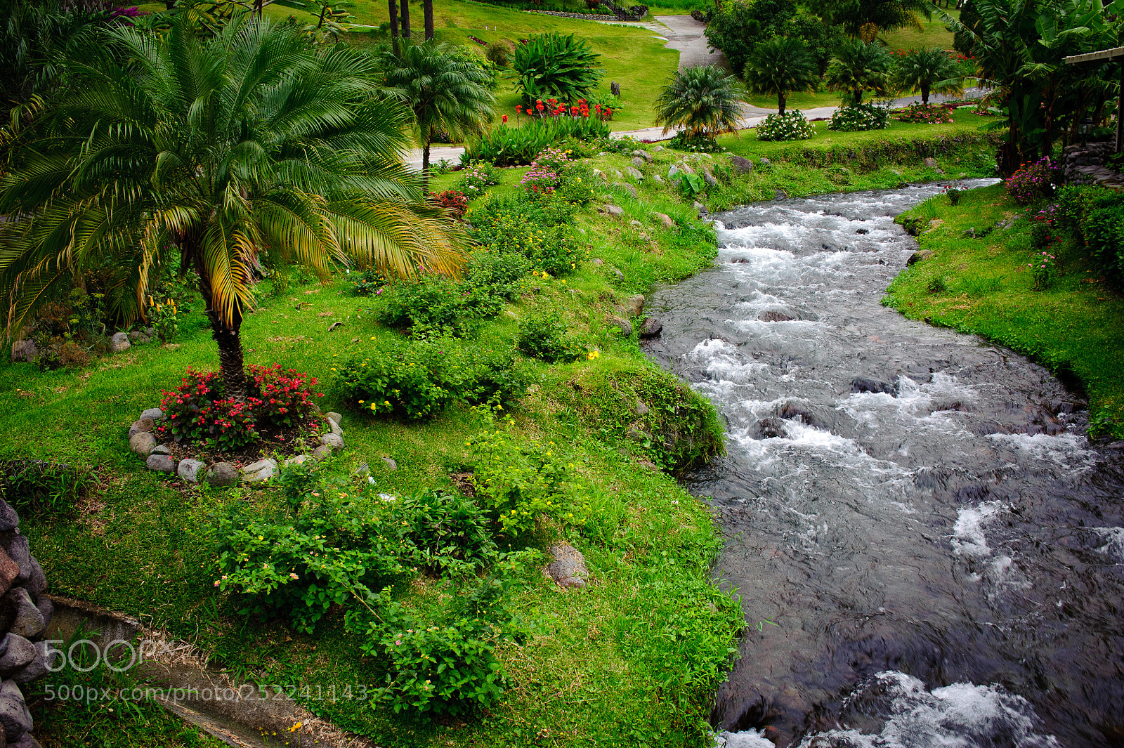 Nikon D700 sample photo. River view photography