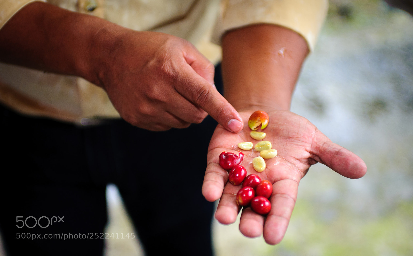 Nikon D700 sample photo. Coffee in hand photography