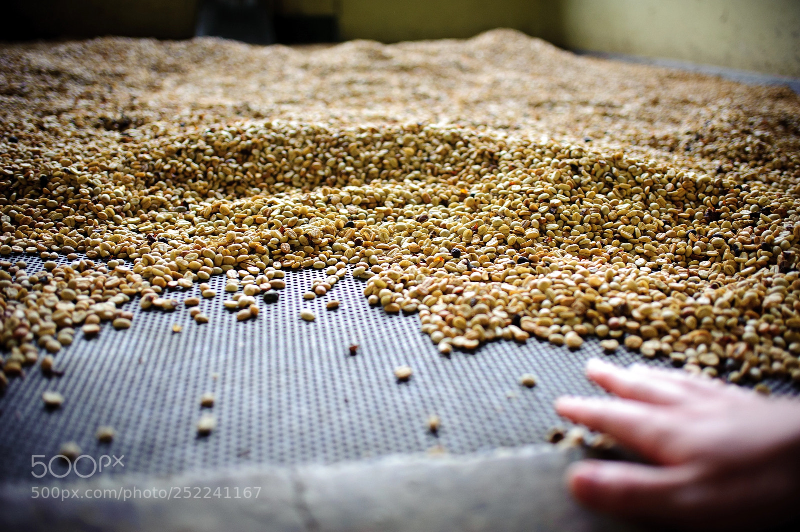 Nikon D700 sample photo. Coffee and hand photography