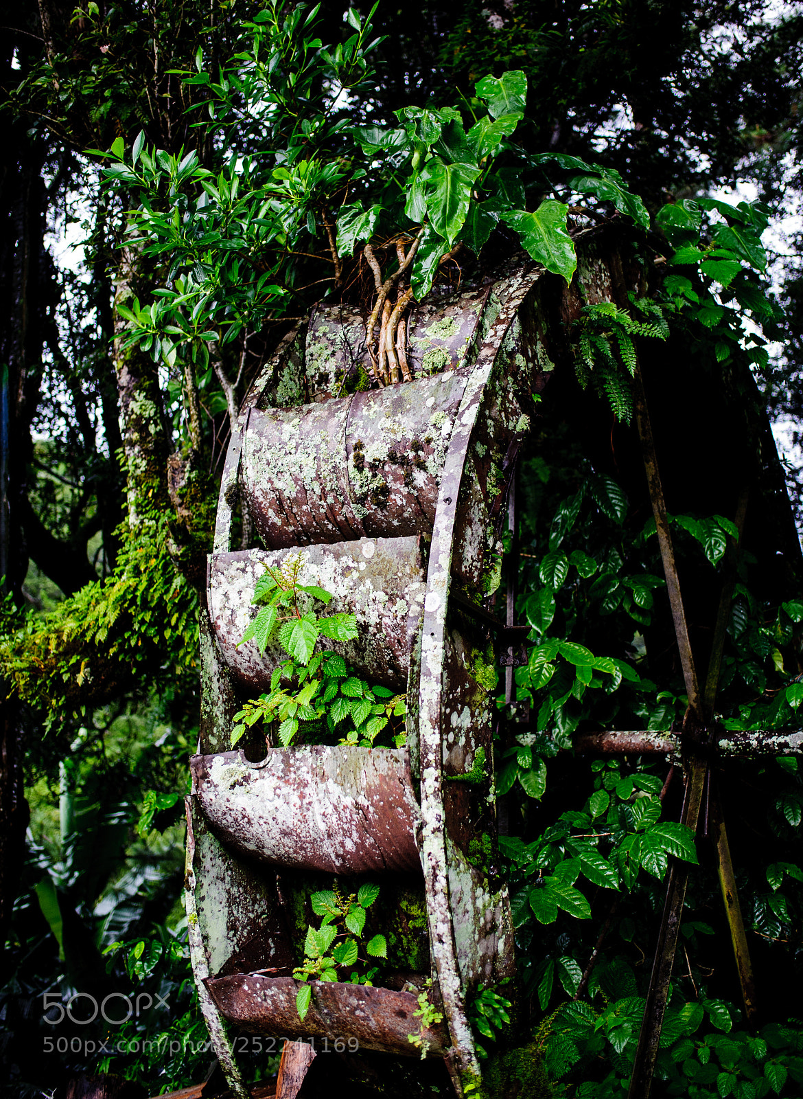 Nikon D700 sample photo. Old wheel photography