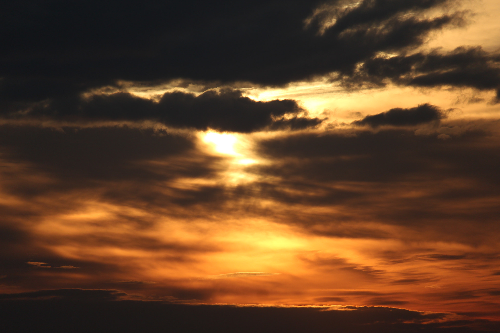 Canon EF-S 55-250mm F4-5.6 IS STM sample photo. Emozioni photography