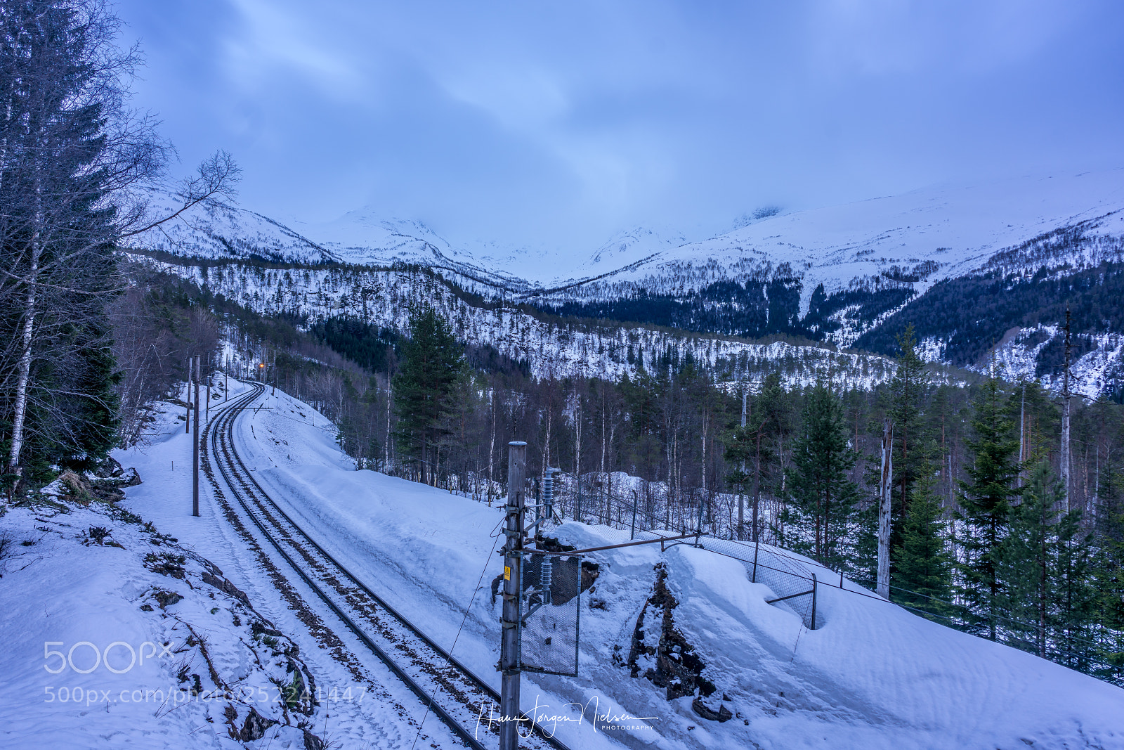 Sony a7R II sample photo. Into the wild photography