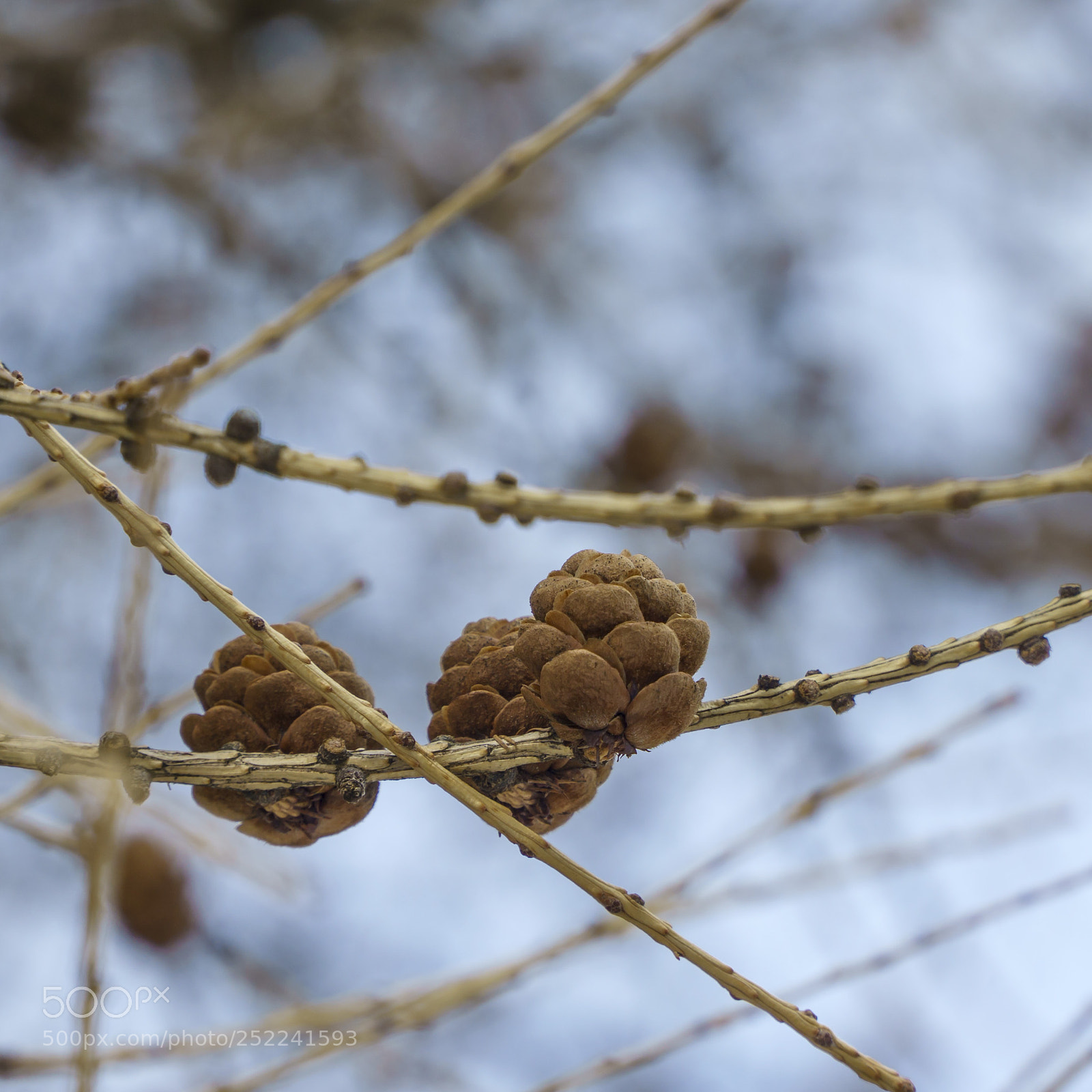 Sony a6000 sample photo. Untitled photography