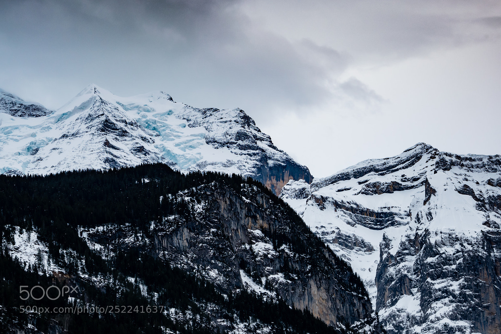 Nikon D5600 sample photo. Swiss alps photography