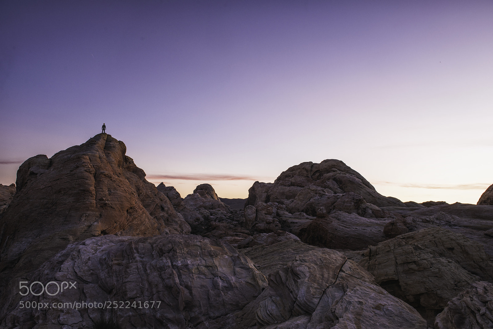 Nikon D810 sample photo. Desert ramblings photography