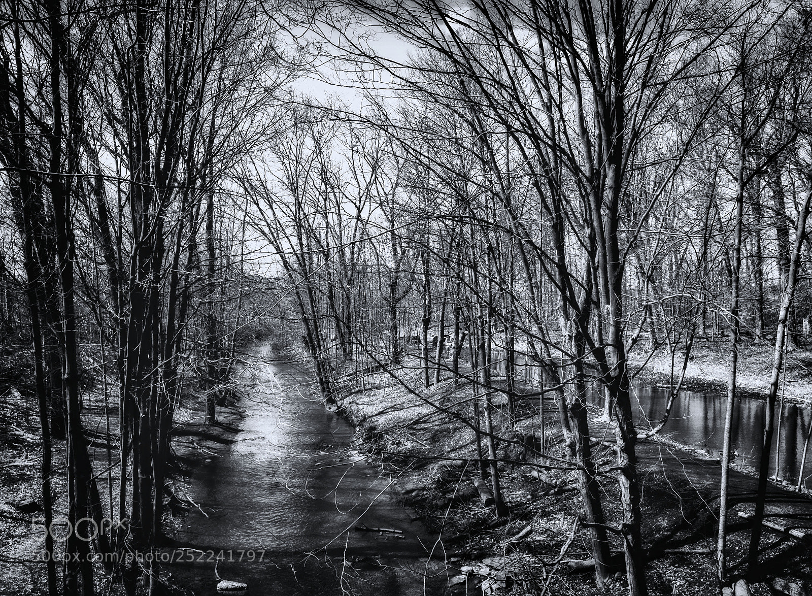 Fujifilm X-E2 sample photo. Mill pond park-milton photography