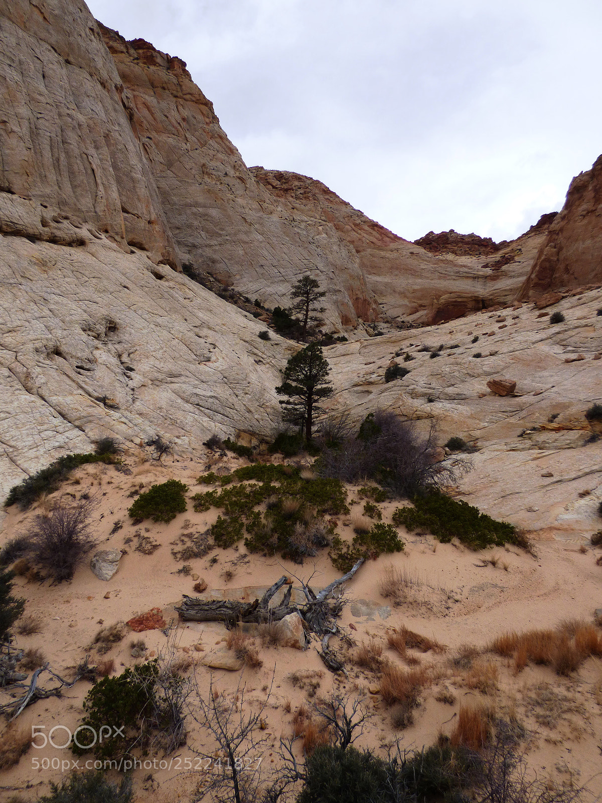 Panasonic Lumix DMC-FZ70 sample photo. Box canyon near tanks photography