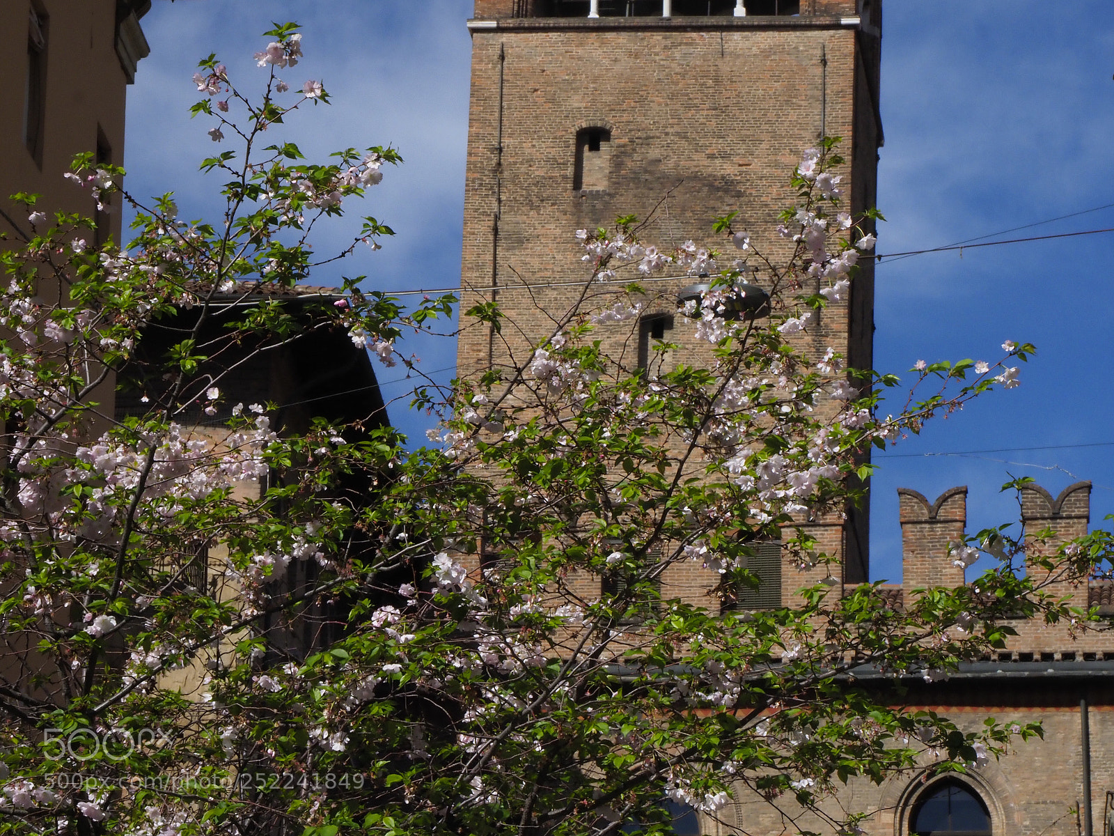 Olympus OM-D E-M1 Mark II sample photo. Antichi palazzi bolognesi photography