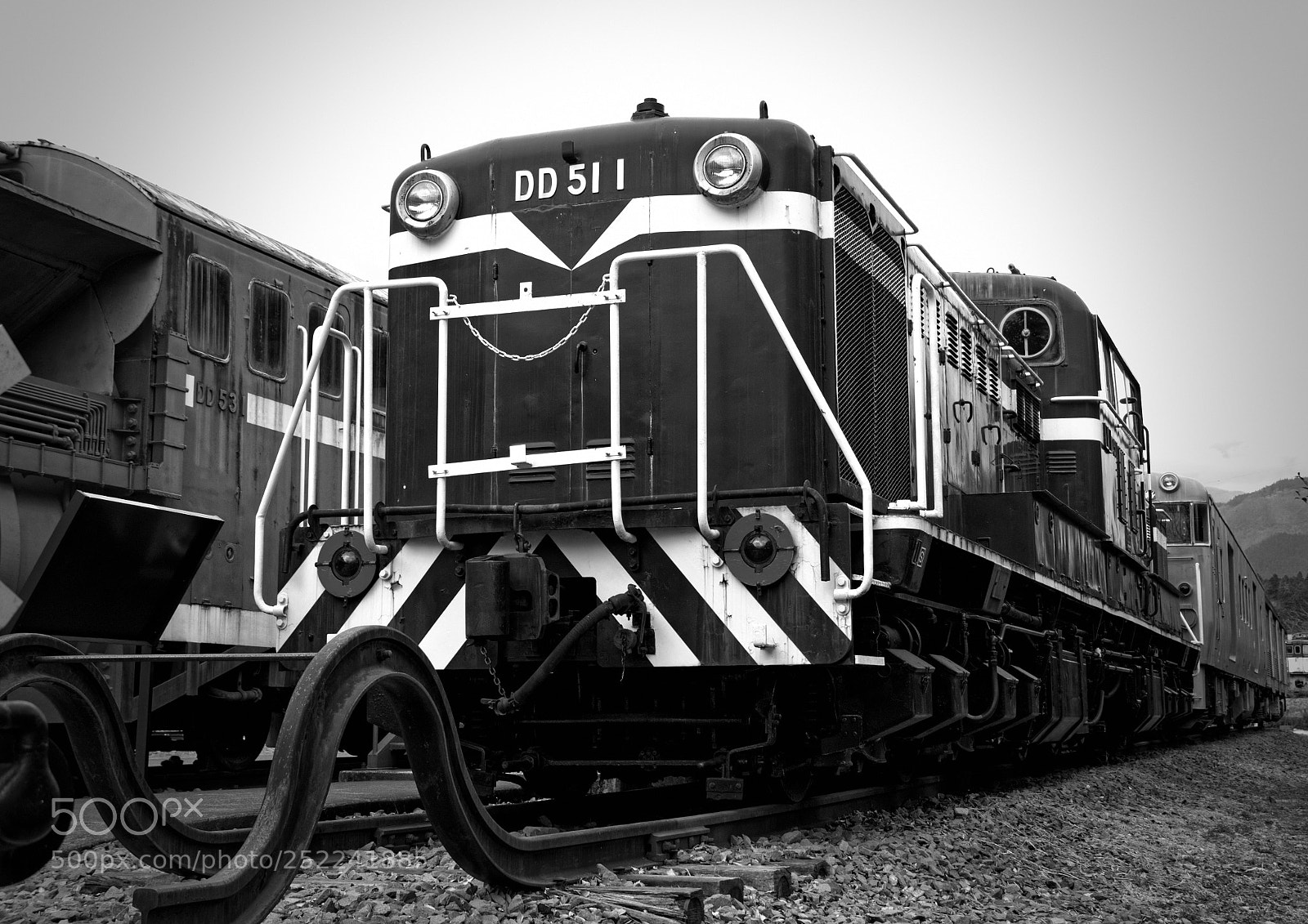 Nikon D7200 sample photo. Dd 51 1 photography