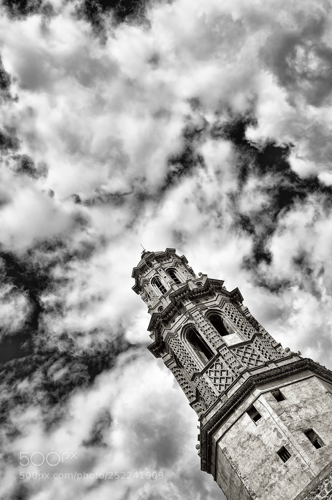 Nikon D90 sample photo. Untitled photography