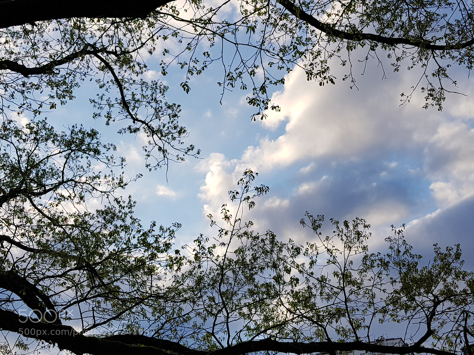 Samsung Galaxy S8 sample photo. Morning sky photography