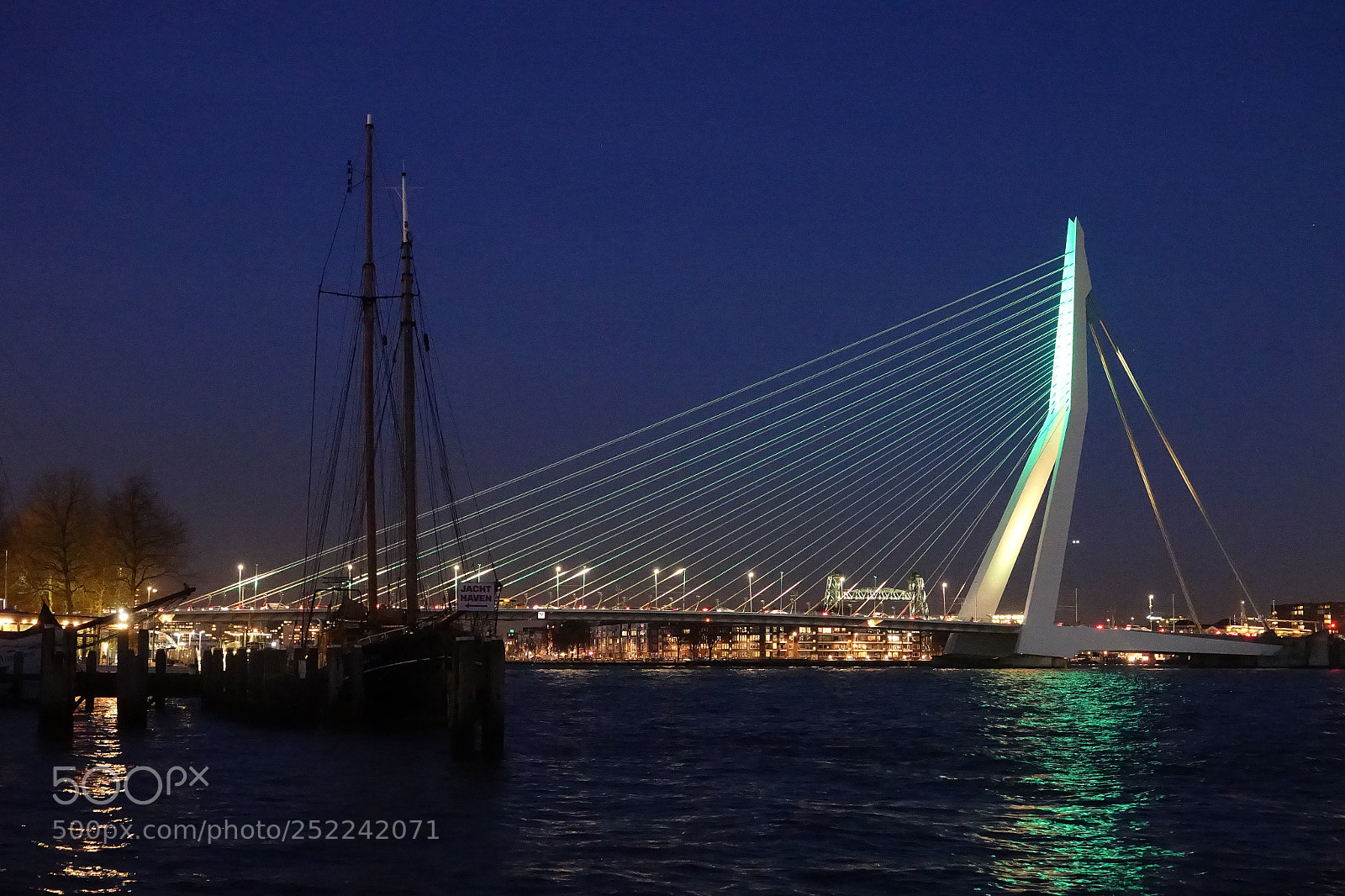 Sony Cyber-shot DSC-RX10 III sample photo. Erasmusbridge by night photography