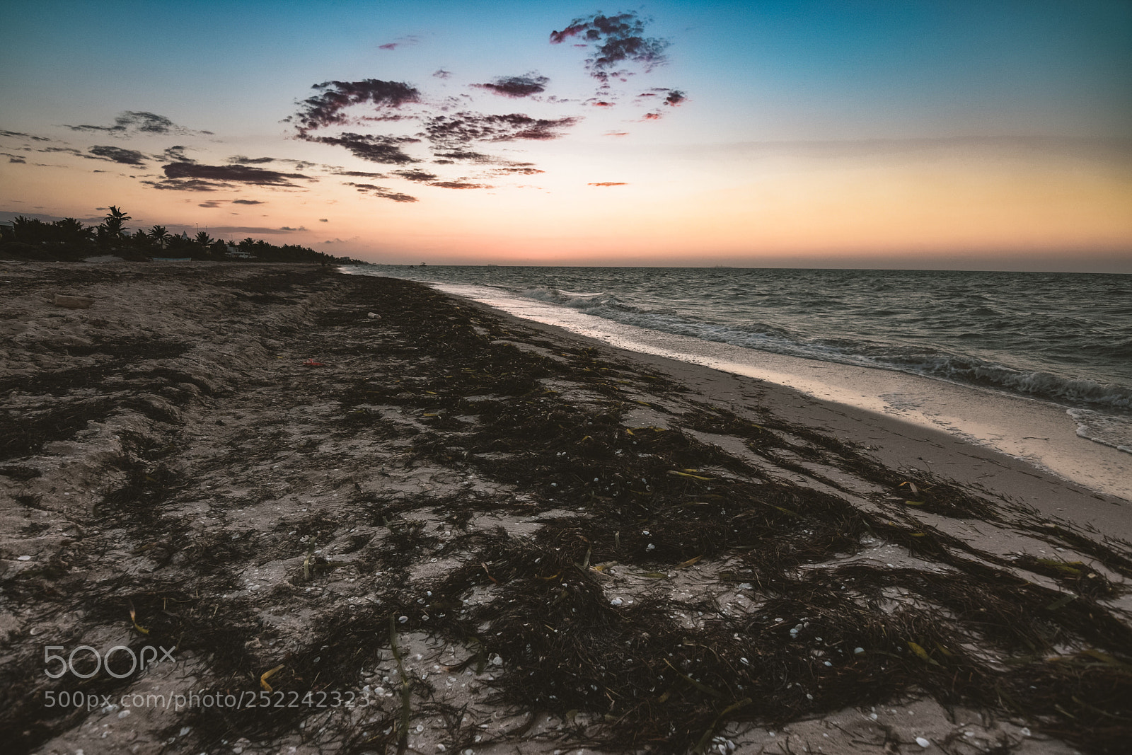 Nikon D3300 sample photo. Sunset photography