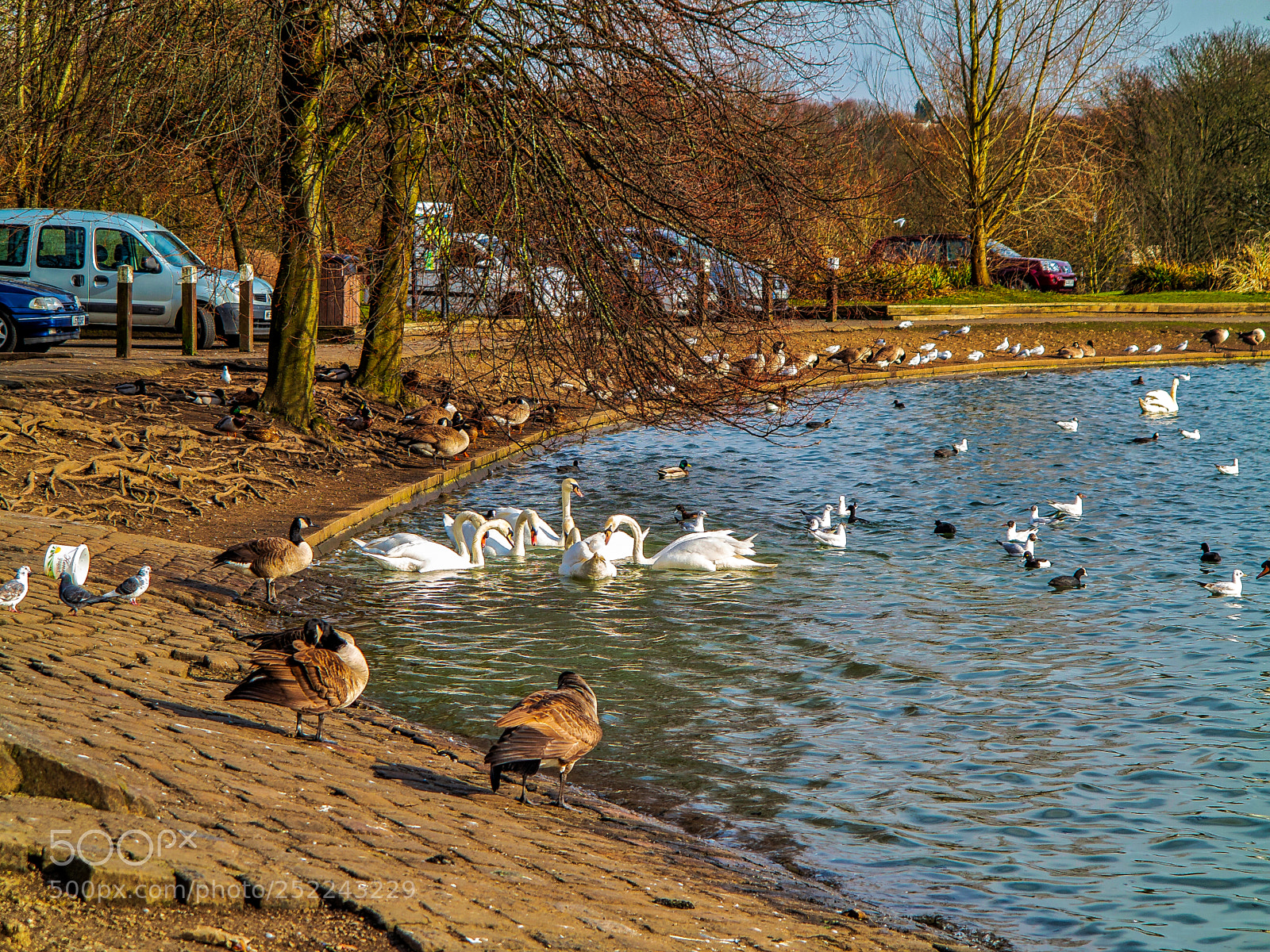 Canon PowerShot G1 X sample photo. One bright day photography