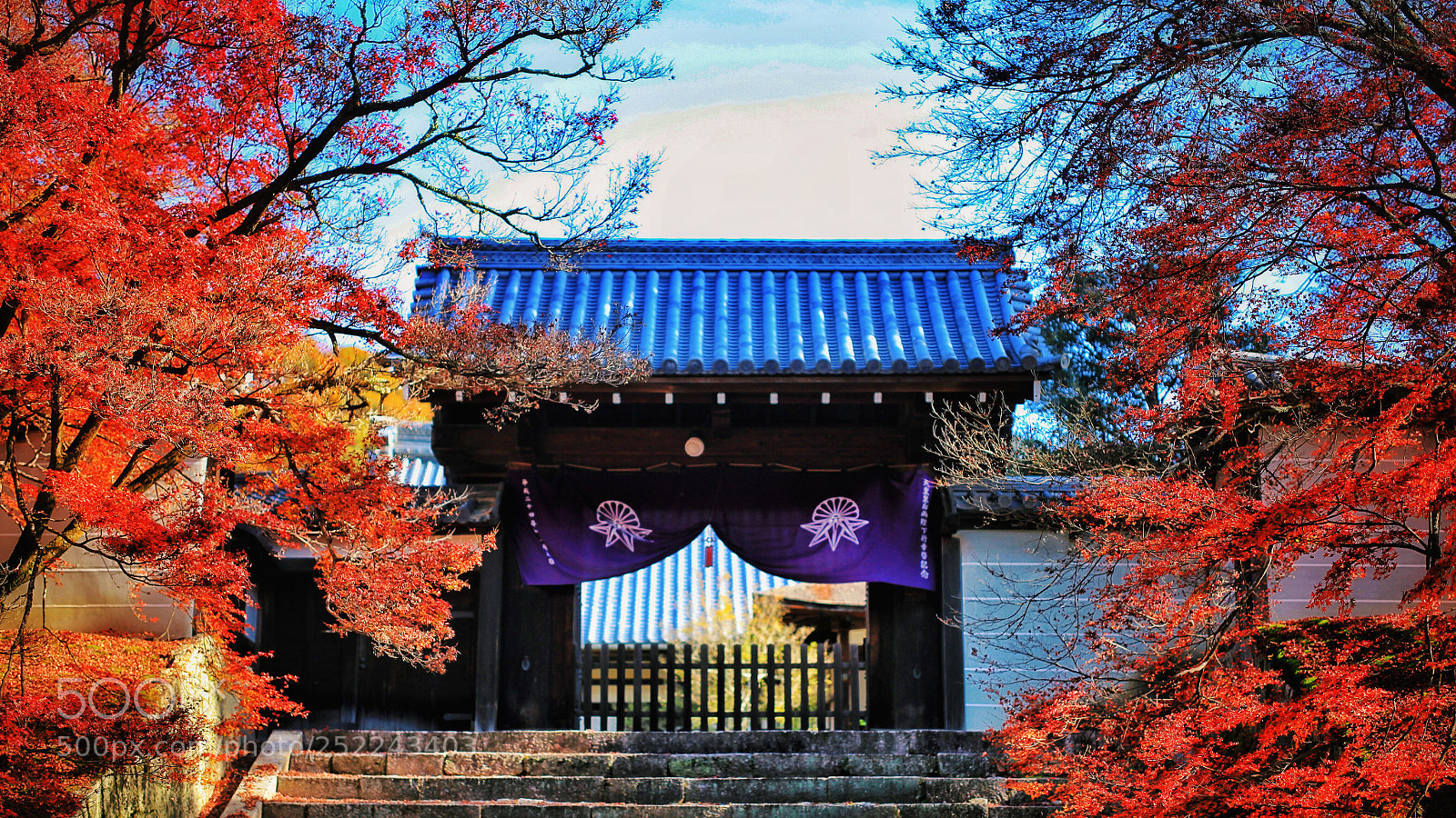 Canon EOS 5D Mark II sample photo. The door of the photography