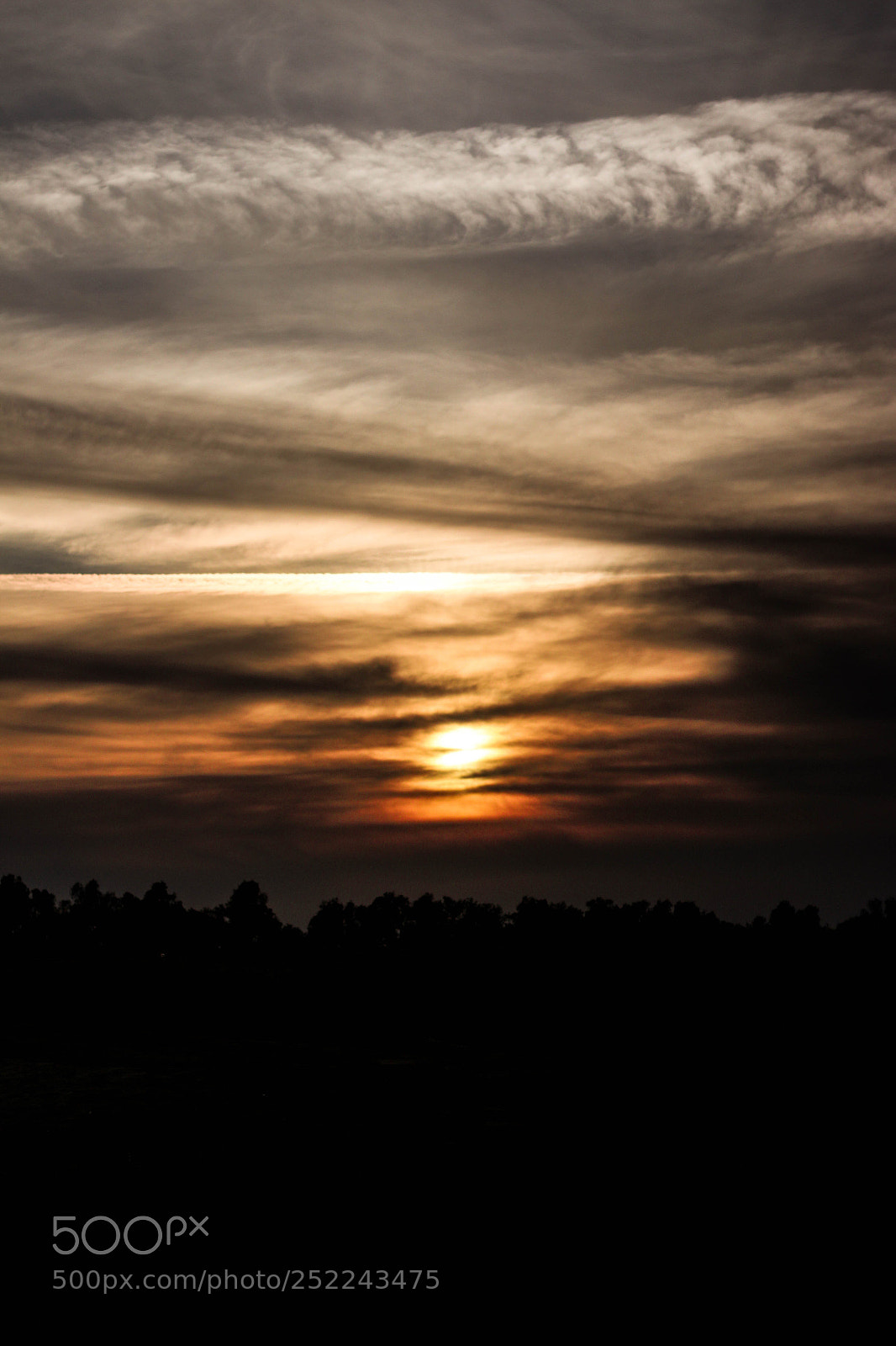 Canon EOS 70D sample photo. Untitled photography