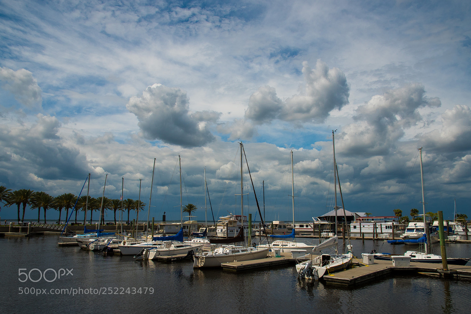Nikon D810 sample photo. Untitled photography