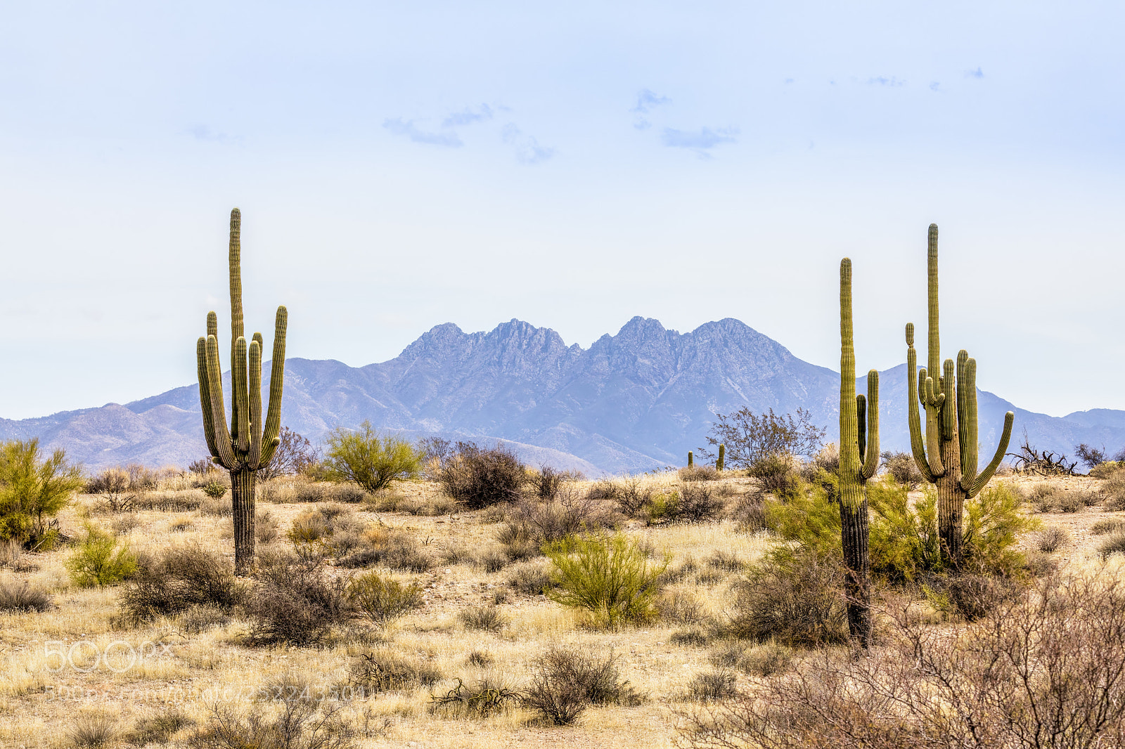 Canon EOS 5D Mark IV sample photo. The four peaks and photography
