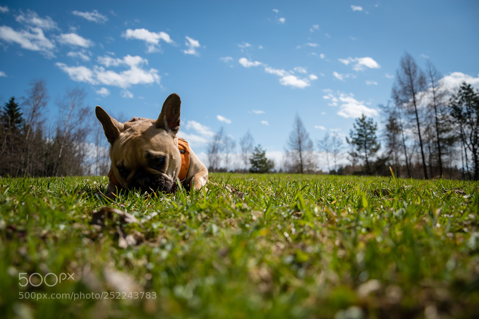Nikon D5600 sample photo. Taking a break photography