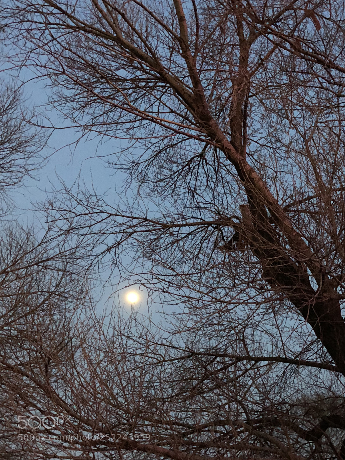 Apple iPhone X sample photo. Bright moon photography