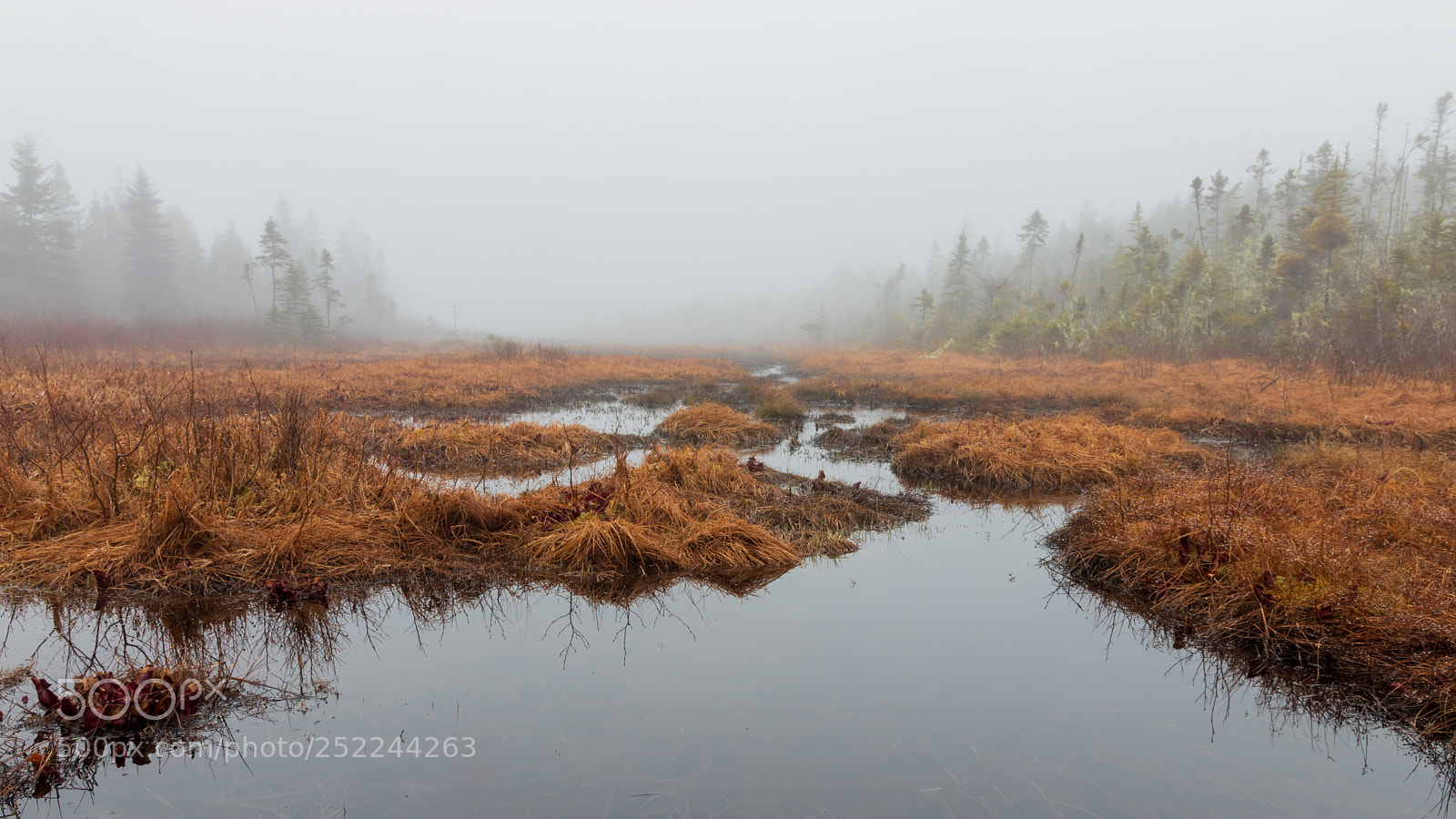 Canon EOS 80D sample photo. Flowing into the mist photography