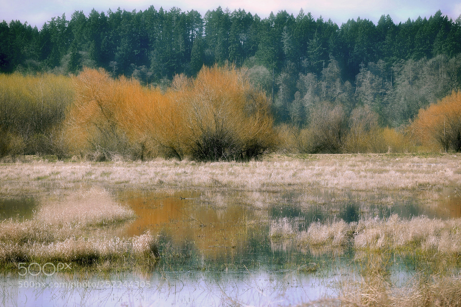 Nikon D3300 sample photo. Wildlife refuge photography