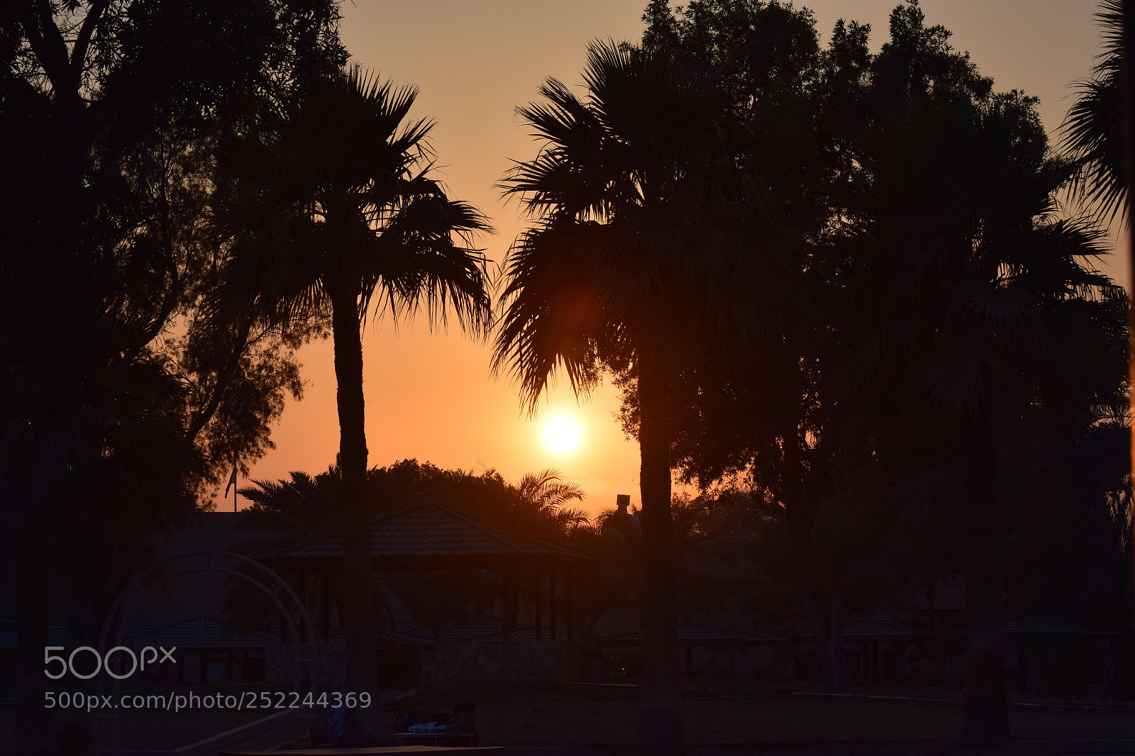 Nikon D5300 sample photo. Untitled photography