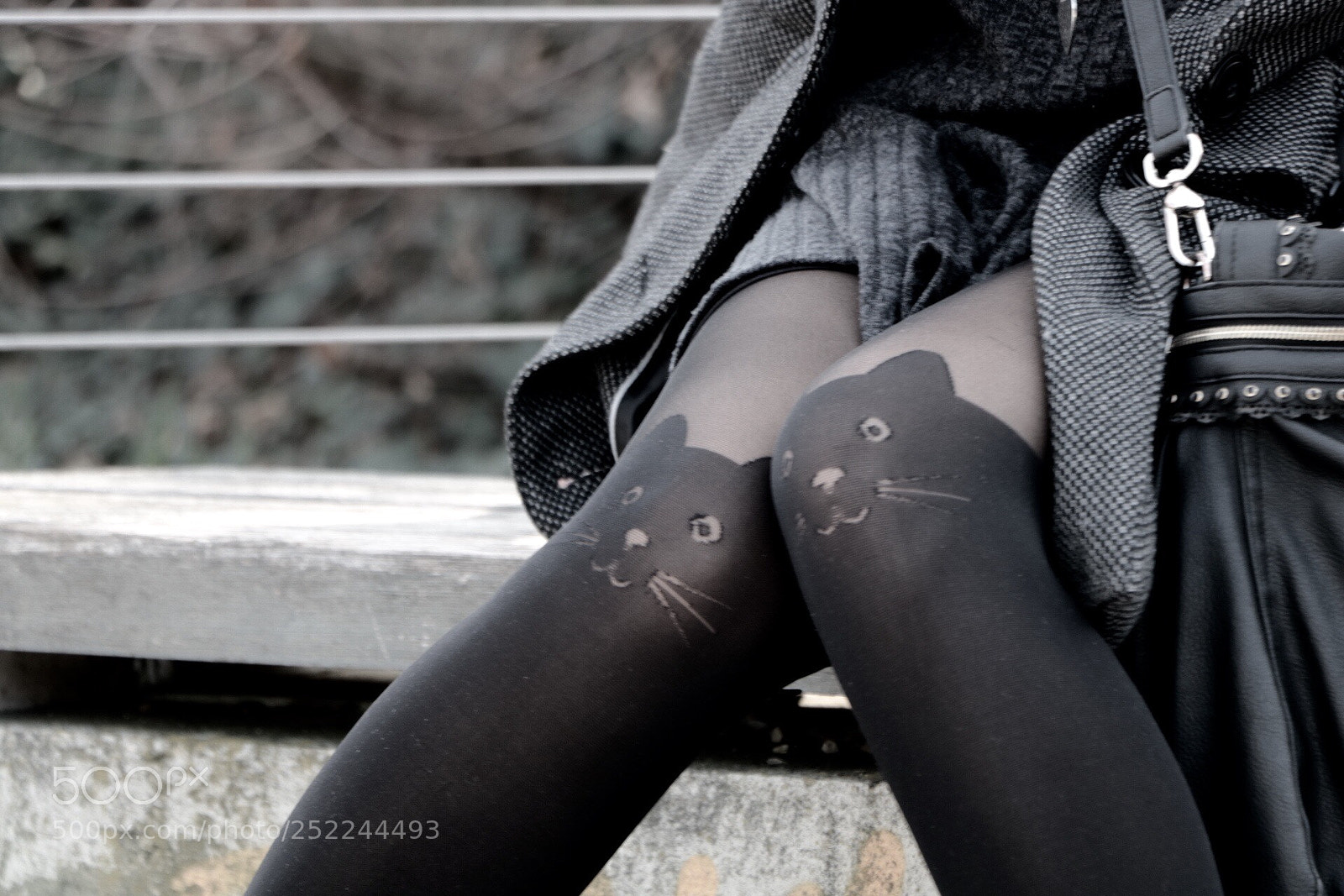 Canon EOS 760D (EOS Rebel T6s / EOS 8000D) sample photo. Legs cats photography