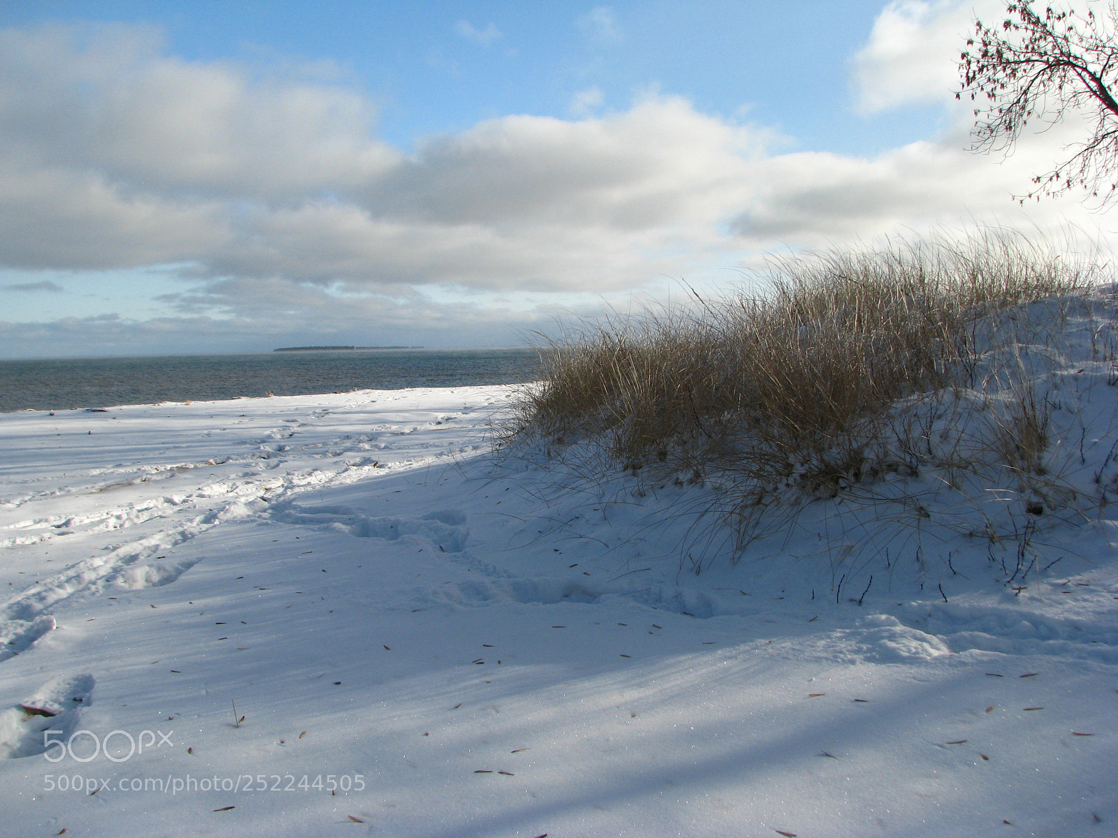Canon POWERSHOT S5 IS sample photo. Img photography