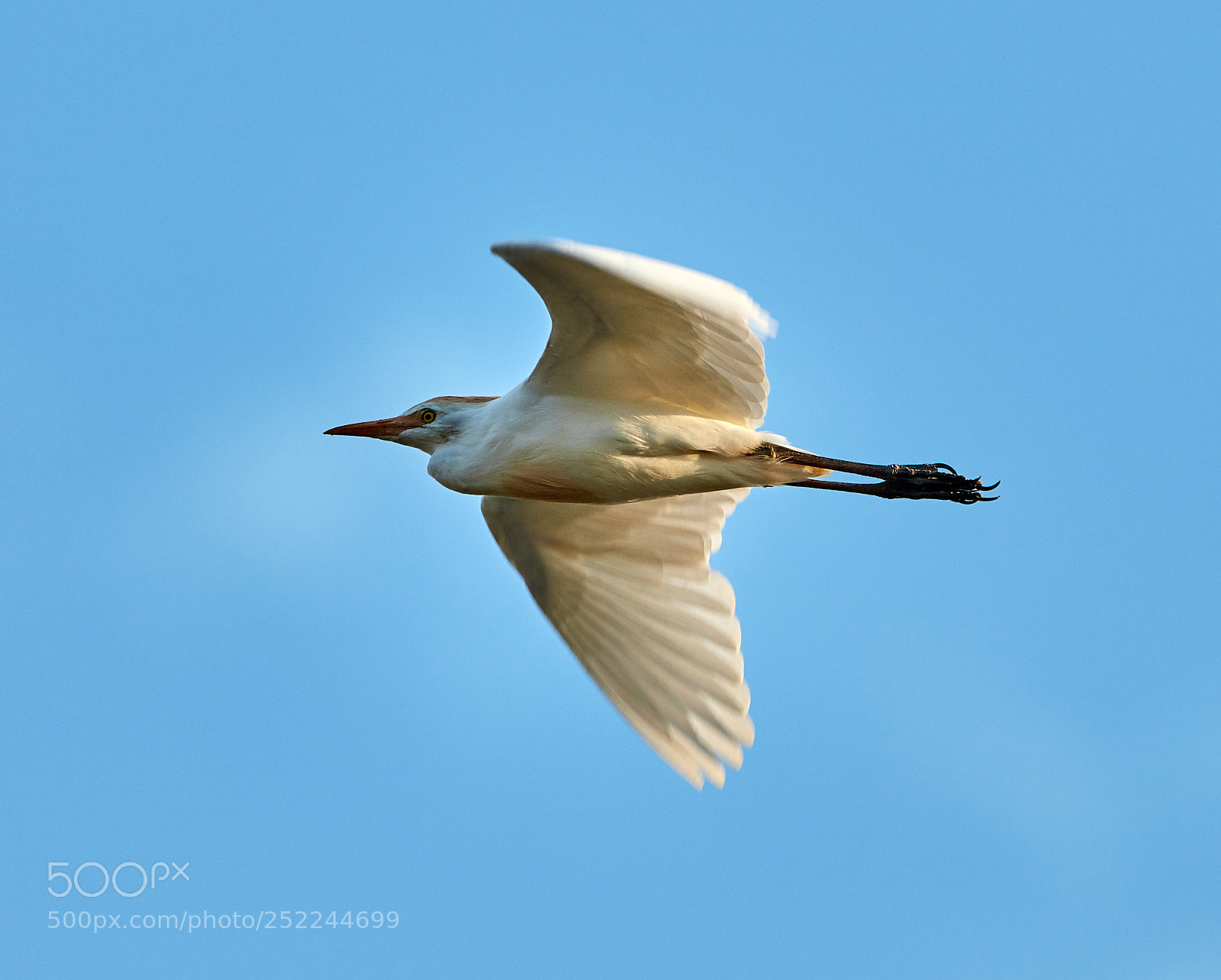 Canon EOS 5DS R sample photo. 04-04-18-0010637.jpg photography