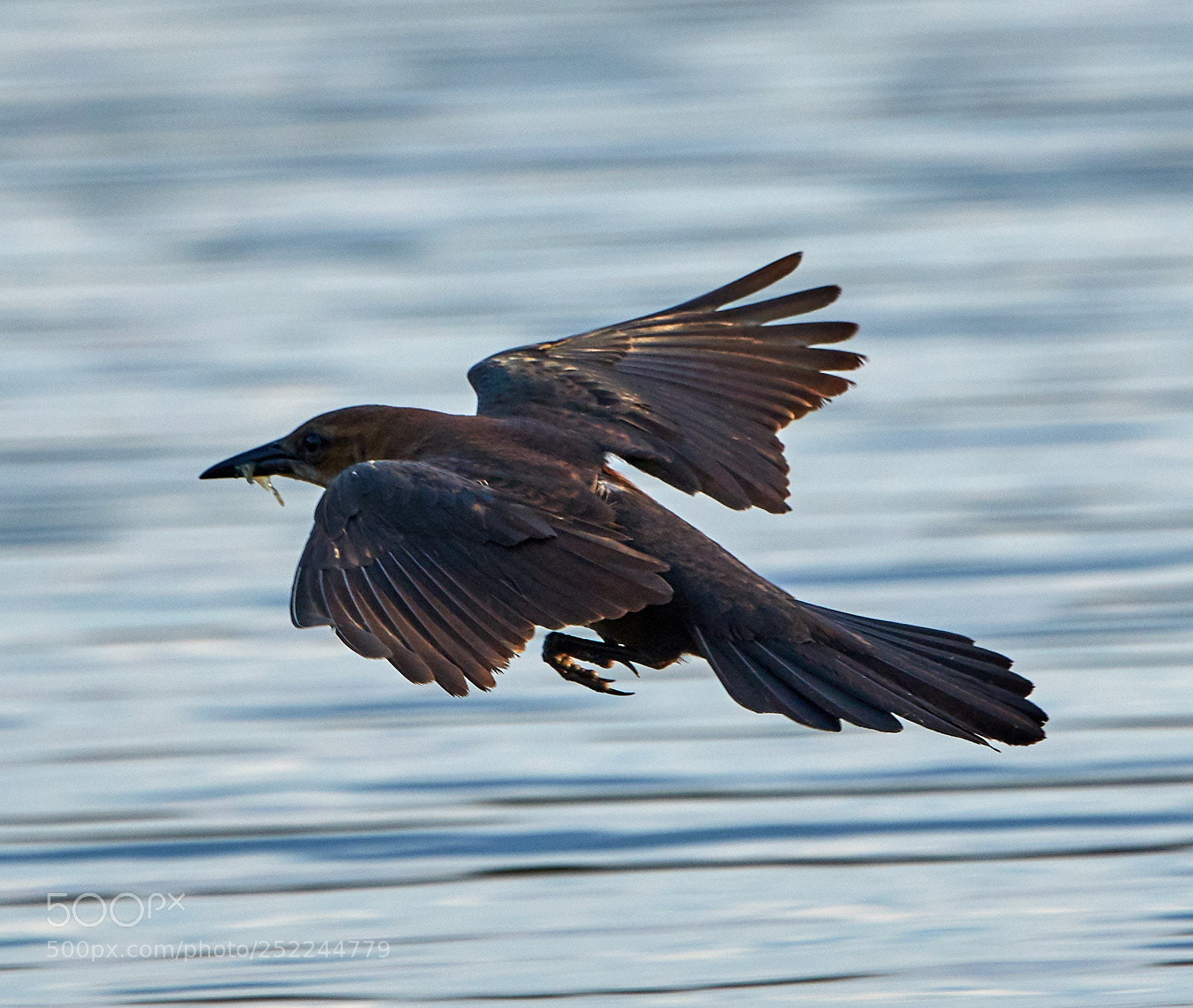 Canon EOS 5DS R sample photo. 04-04-18-0010632.jpg photography
