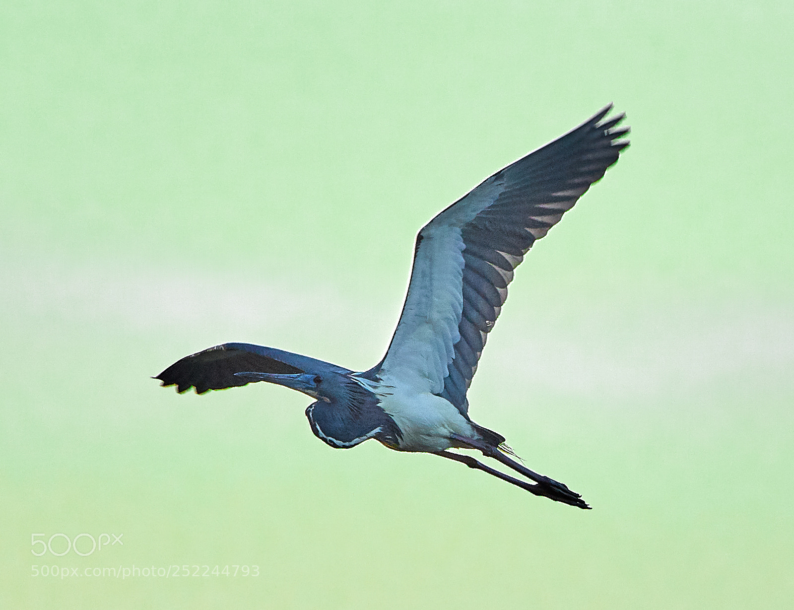 Canon EOS 5DS R sample photo. 04-04-18-0010626.jpg photography