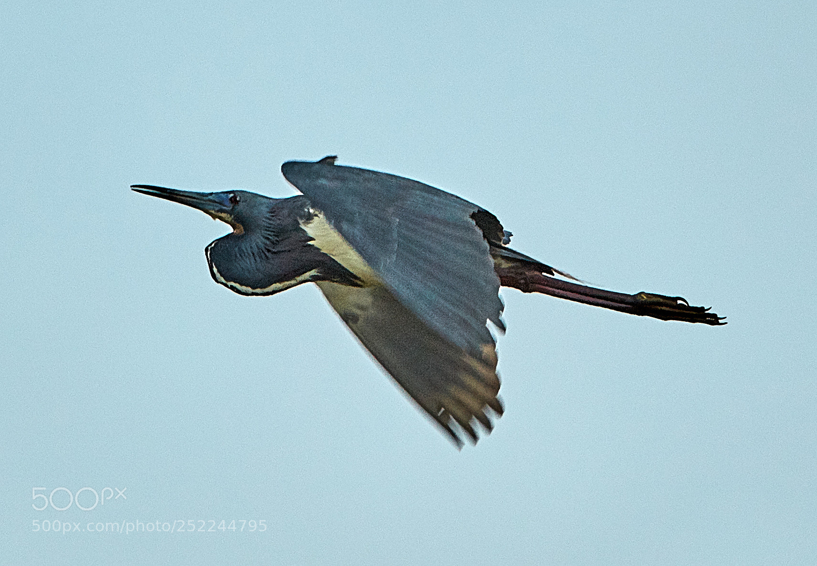 Canon EOS 5DS R sample photo. 04-04-18-0010616.jpg photography