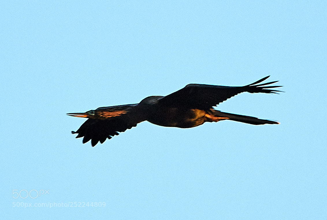 Canon EOS 5DS R sample photo. 04-04-18-0010610.jpg photography