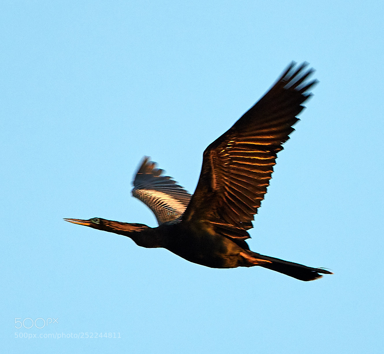 Canon EOS 5DS R sample photo. 04-04-18-0010609.jpg photography