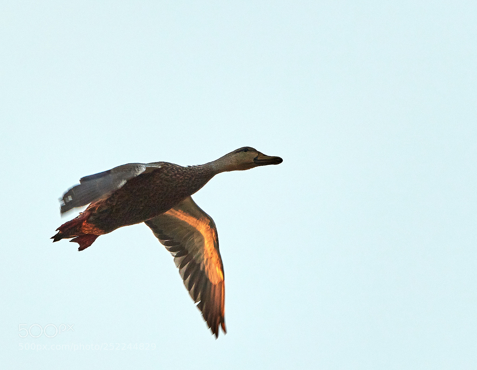 Canon EOS 5DS R sample photo. 04-04-18-0010604.jpg photography