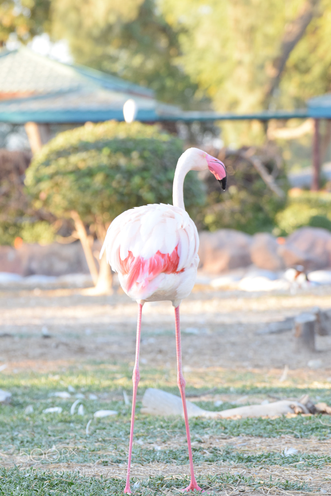 Nikon D5300 sample photo. Untitled photography