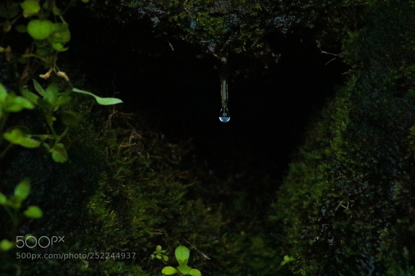Canon EOS 750D (EOS Rebel T6i / EOS Kiss X8i) sample photo. Droplet photography