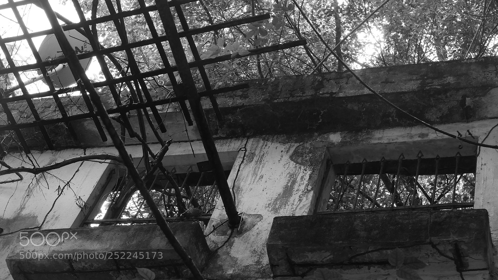 Panasonic Lumix DMC-LX100 sample photo. Untitled photography