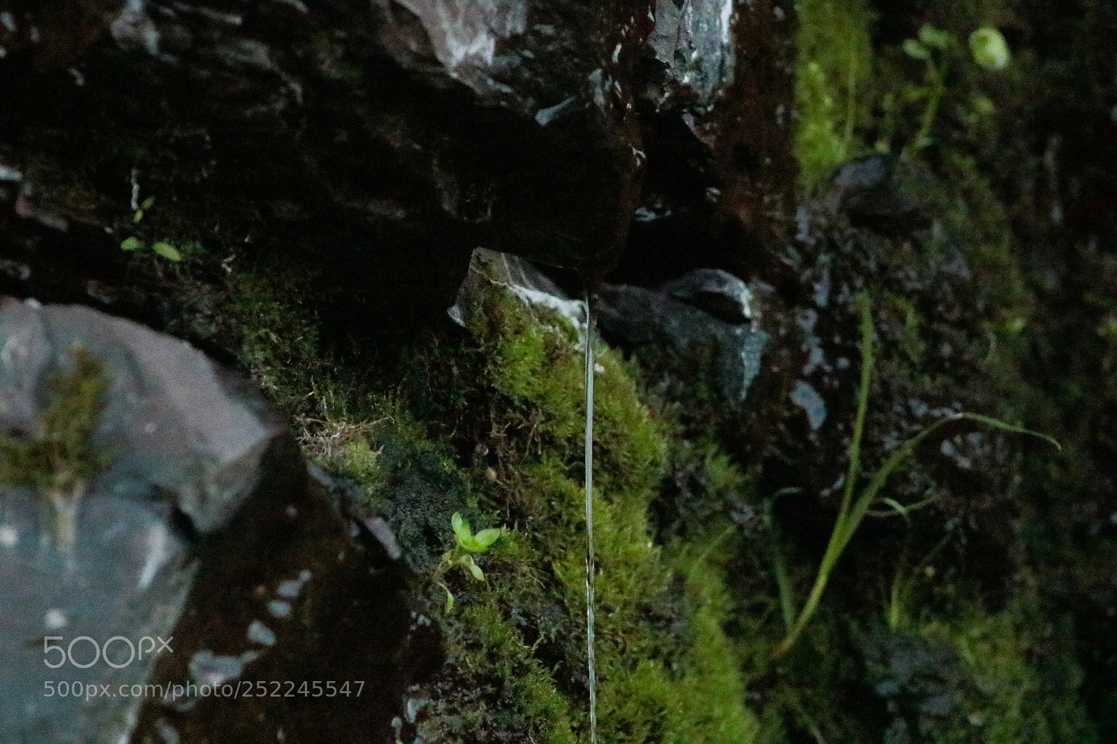 Canon EOS 750D (EOS Rebel T6i / EOS Kiss X8i) sample photo. Flowing photography