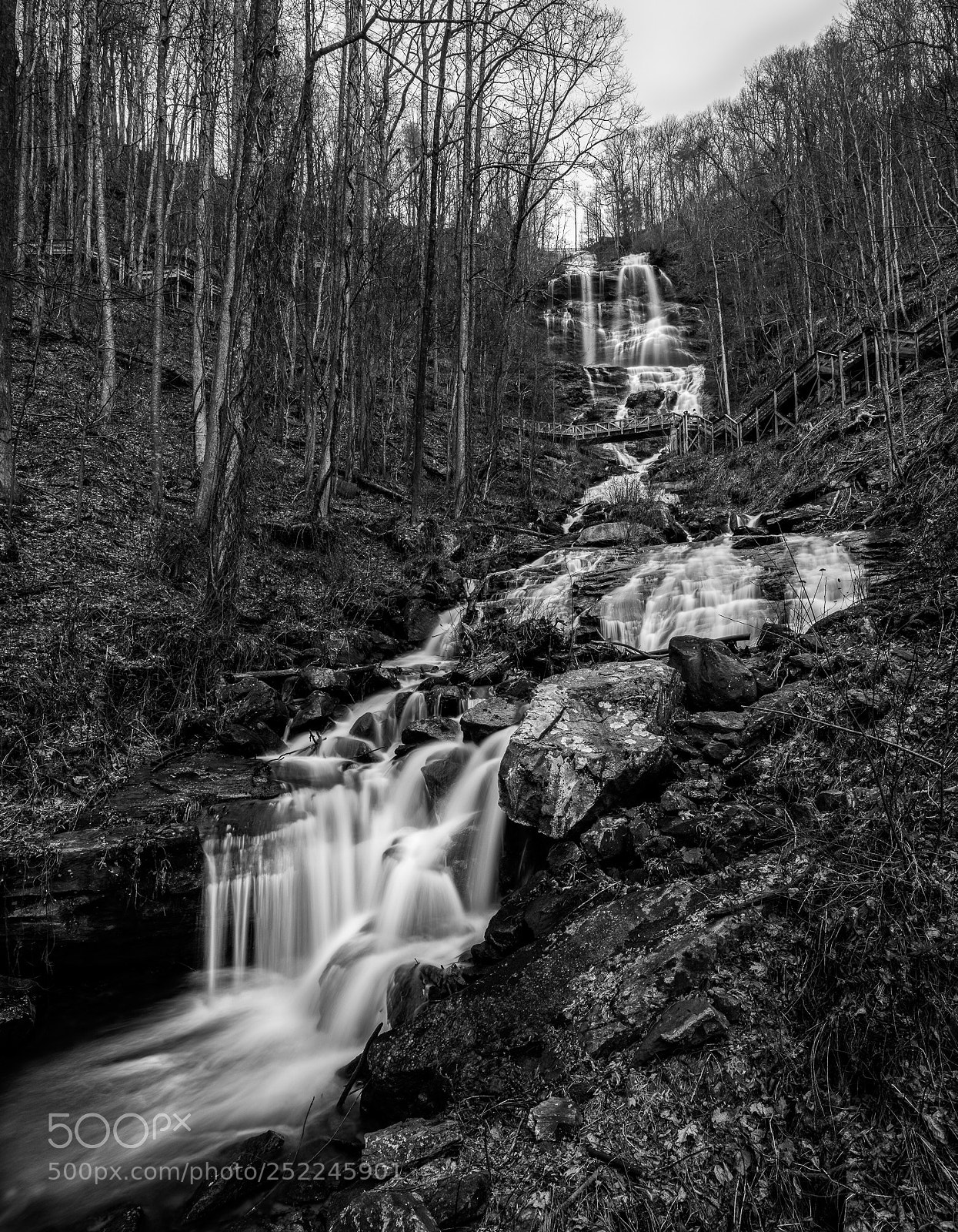 Nikon D850 sample photo. Amicalola falls photography